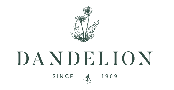 Dandelion Jewelry 