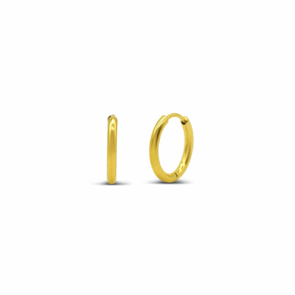 EAR-S.STL Gold Hoop Hoop Horray! Set of 3 Pairs of Waterproof Hoops Earrings