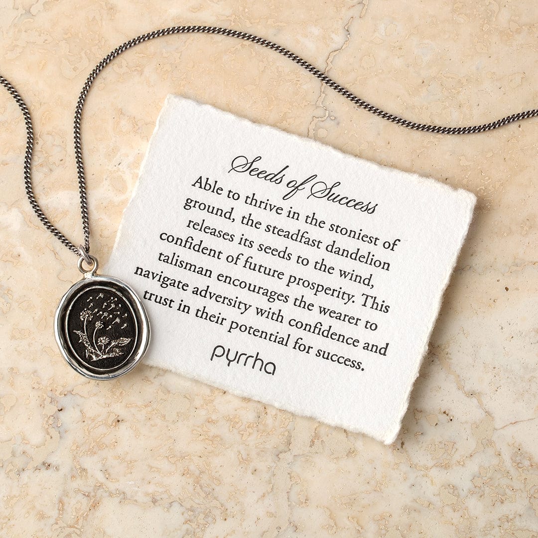NKL Seeds of Success Talisman Necklace
